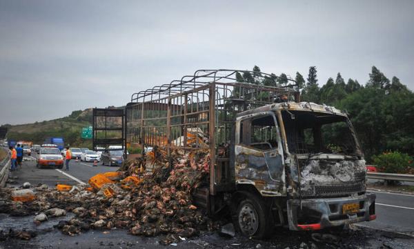 igbt逆變器電路