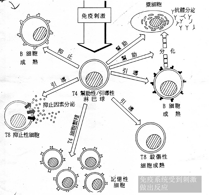 特靈中央空調官網售后