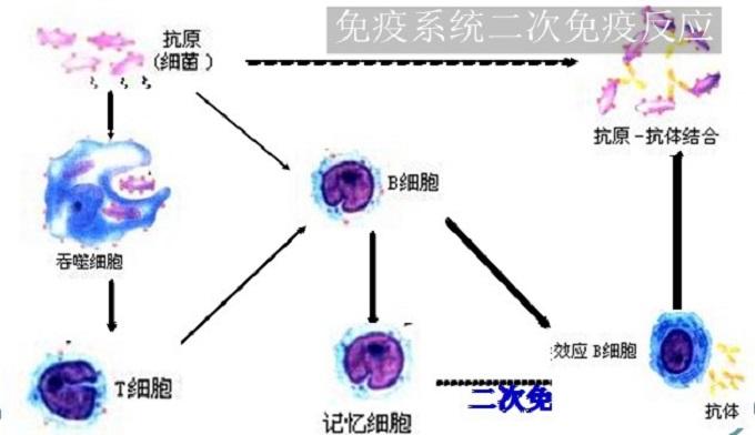 鞍山夏普電視售后服務