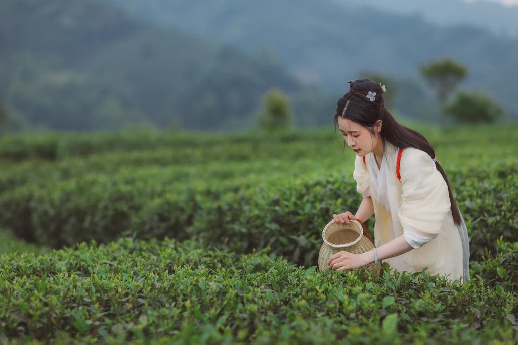 空調(diào)開啟后制冷，但不能制熱